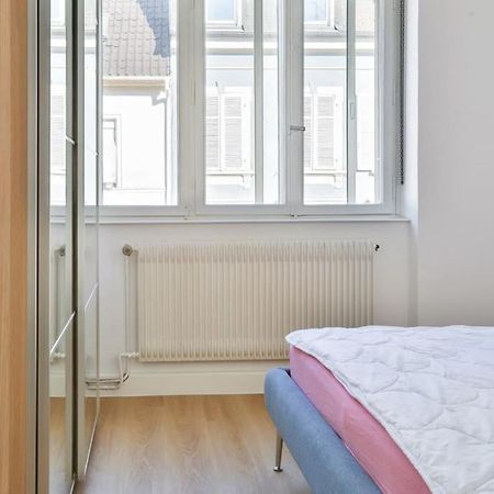 Suite Tres Moderne Et Cosy, Proche Centre-Ville, Mulhouse Centre المظهر الخارجي الصورة