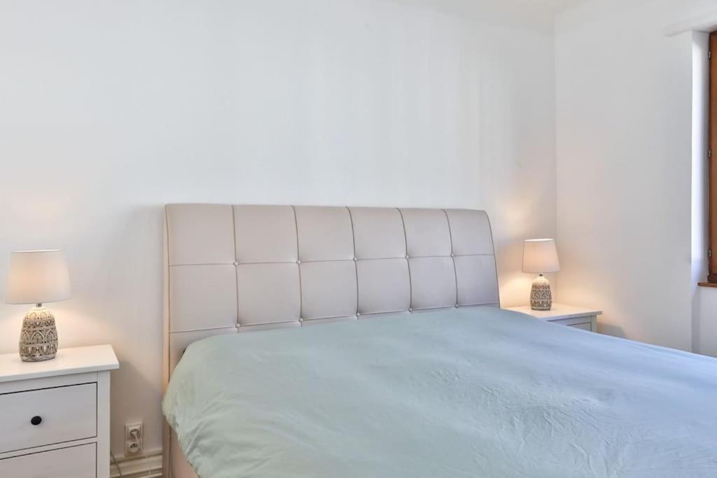 Suite Tres Moderne Et Cosy, Proche Centre-Ville, Mulhouse Centre المظهر الخارجي الصورة