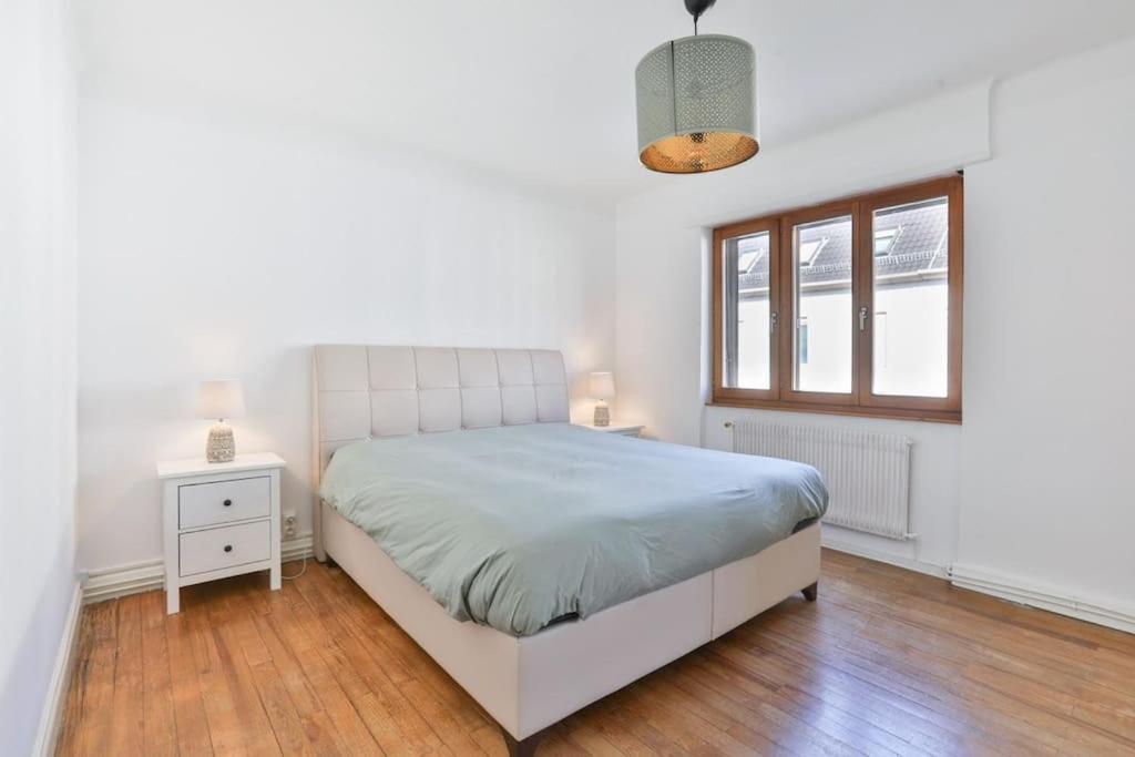 Suite Tres Moderne Et Cosy, Proche Centre-Ville, Mulhouse Centre المظهر الخارجي الصورة