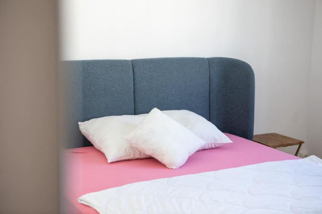 Suite Tres Moderne Et Cosy, Proche Centre-Ville, Mulhouse Centre المظهر الخارجي الصورة